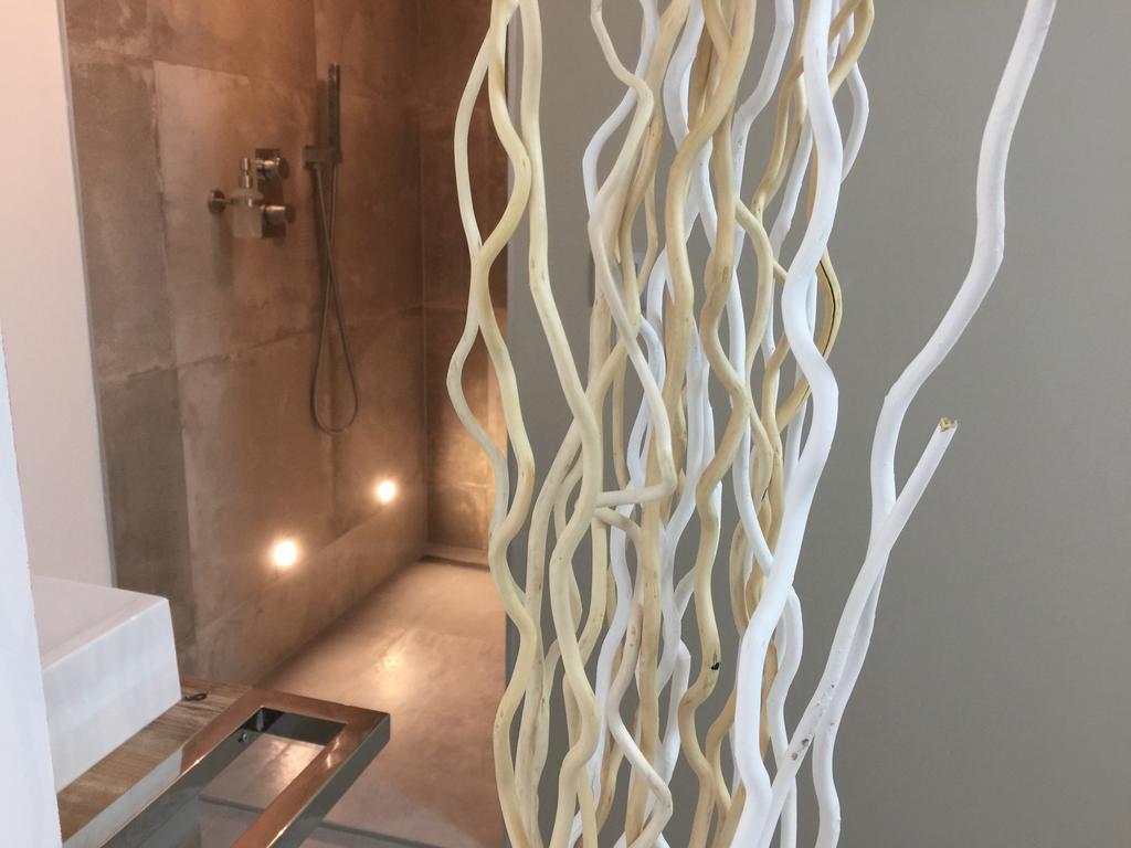 Loft Spa - Cote Chateau. Carcassonne Exteriér fotografie