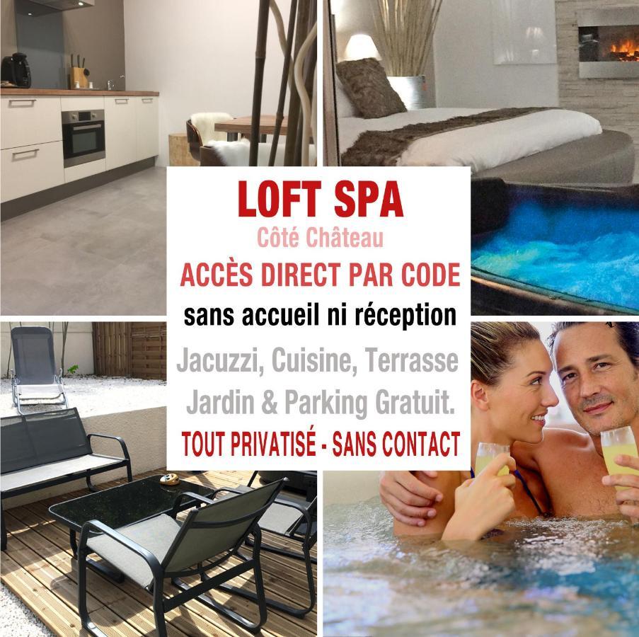 Loft Spa - Cote Chateau. Carcassonne Exteriér fotografie